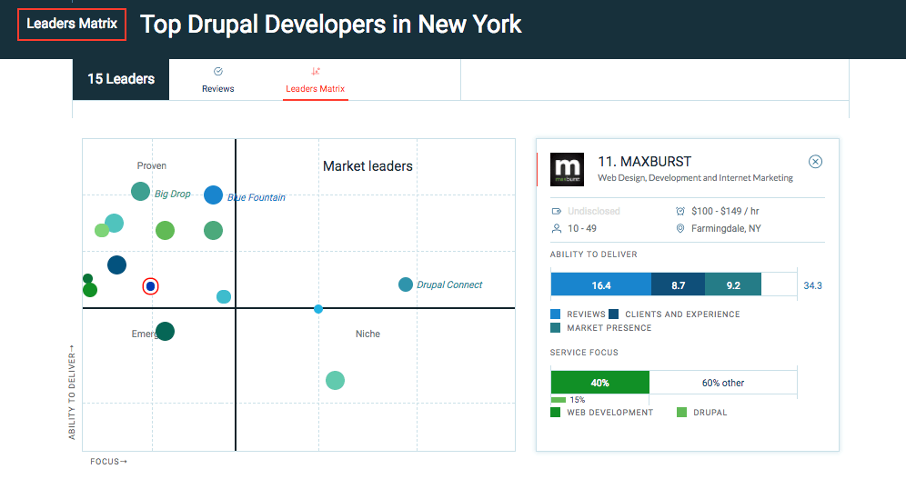 Top Drupal and WordPress Developers in New York