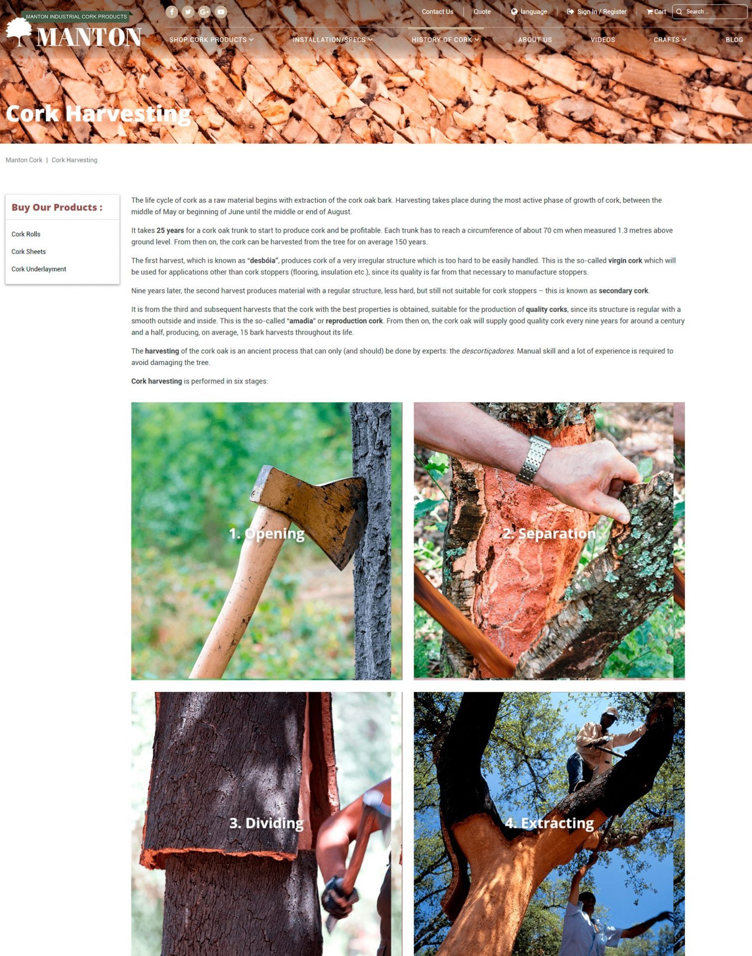 Project-pages-5